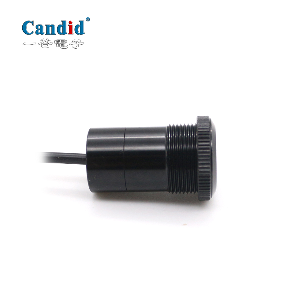 Luces de bienvenida universales y personalizadas para coche